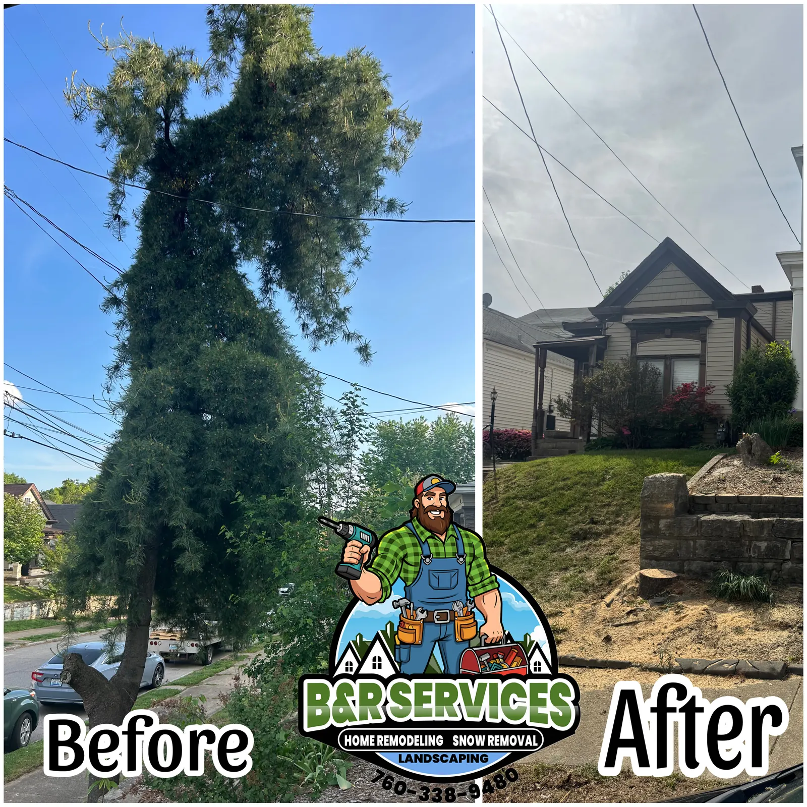 tree removal before and after in Louisville KY