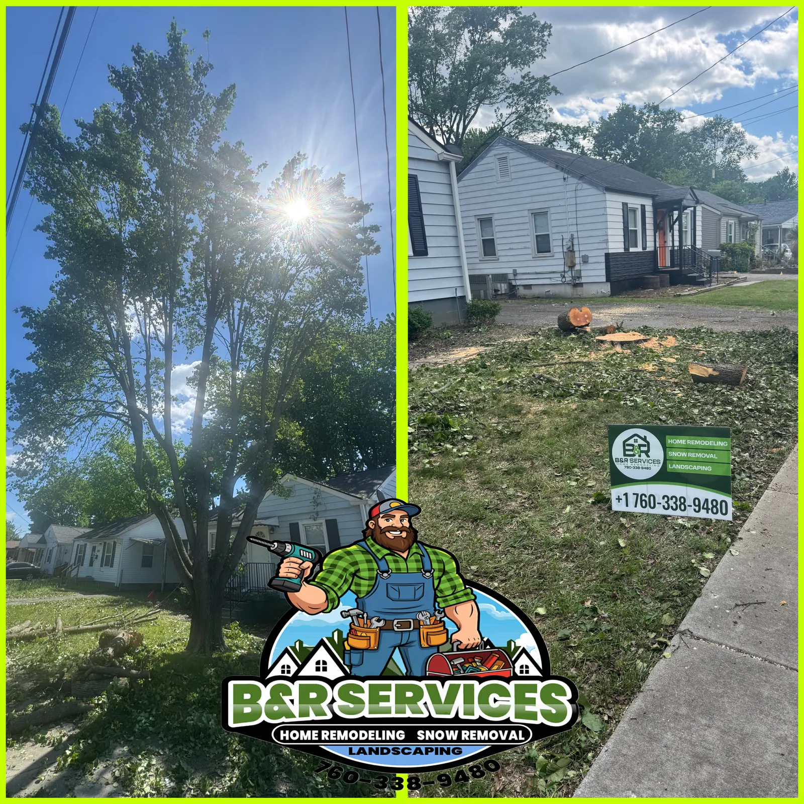 before and after tree trimming project in Louisville KY